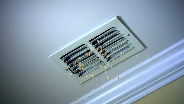 Best Duct Cleaning for Homes  in Juneau, WI